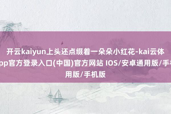 开云kaiyun上头还点缀着一朵朵小红花-kai云体育app官方登录入口(中国)官方网站 IOS/安卓通用版/手机版