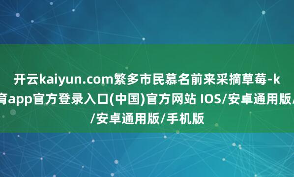 开云kaiyun.com繁多市民慕名前来采摘草莓-kai云体育app官方登录入口(中国)官方网站 IOS/安卓通用版/手机版
