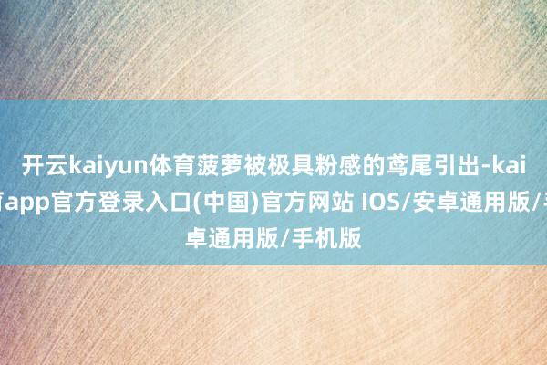 开云kaiyun体育菠萝被极具粉感的鸢尾引出-kai云体育app官方登录入口(中国)官方网站 IOS/安卓通用版/手机版