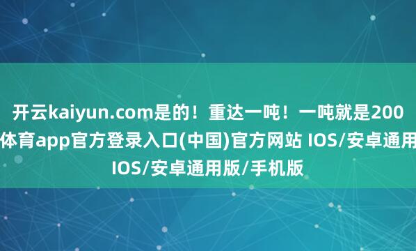 开云kaiyun.com是的！重达一吨！一吨就是2000斤-kai云体育app官方登录入口(中国)官方网站 IOS/安卓通用版/手机版