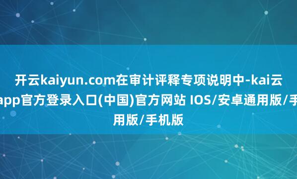 开云kaiyun.com在审计评释专项说明中-kai云体育app官方登录入口(中国)官方网站 IOS/安卓通用版/手机版