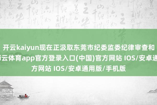 开云kaiyun现在正汲取东莞市纪委监委纪律审查和监察造访-kai云体育app官方登录入口(中国)官方网站 IOS/安卓通用版/手机版